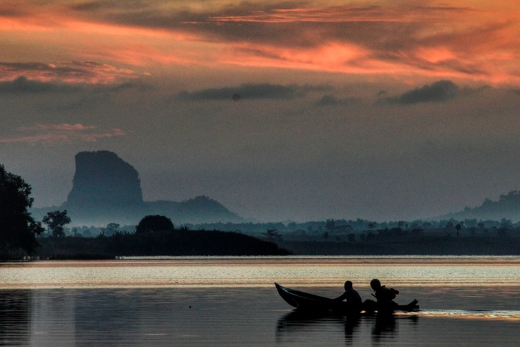 Golden Sunrise Cacaban